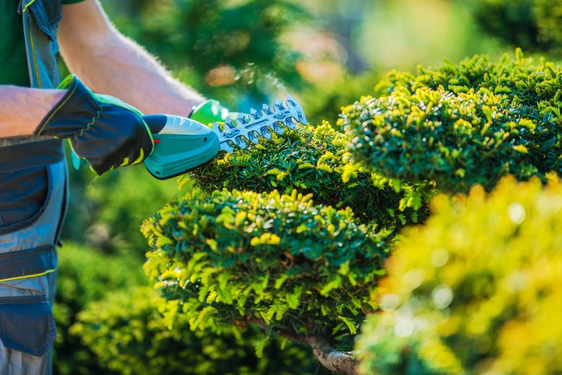 3 Things to Know About Insuring Your Landscaping Business | Ruhl